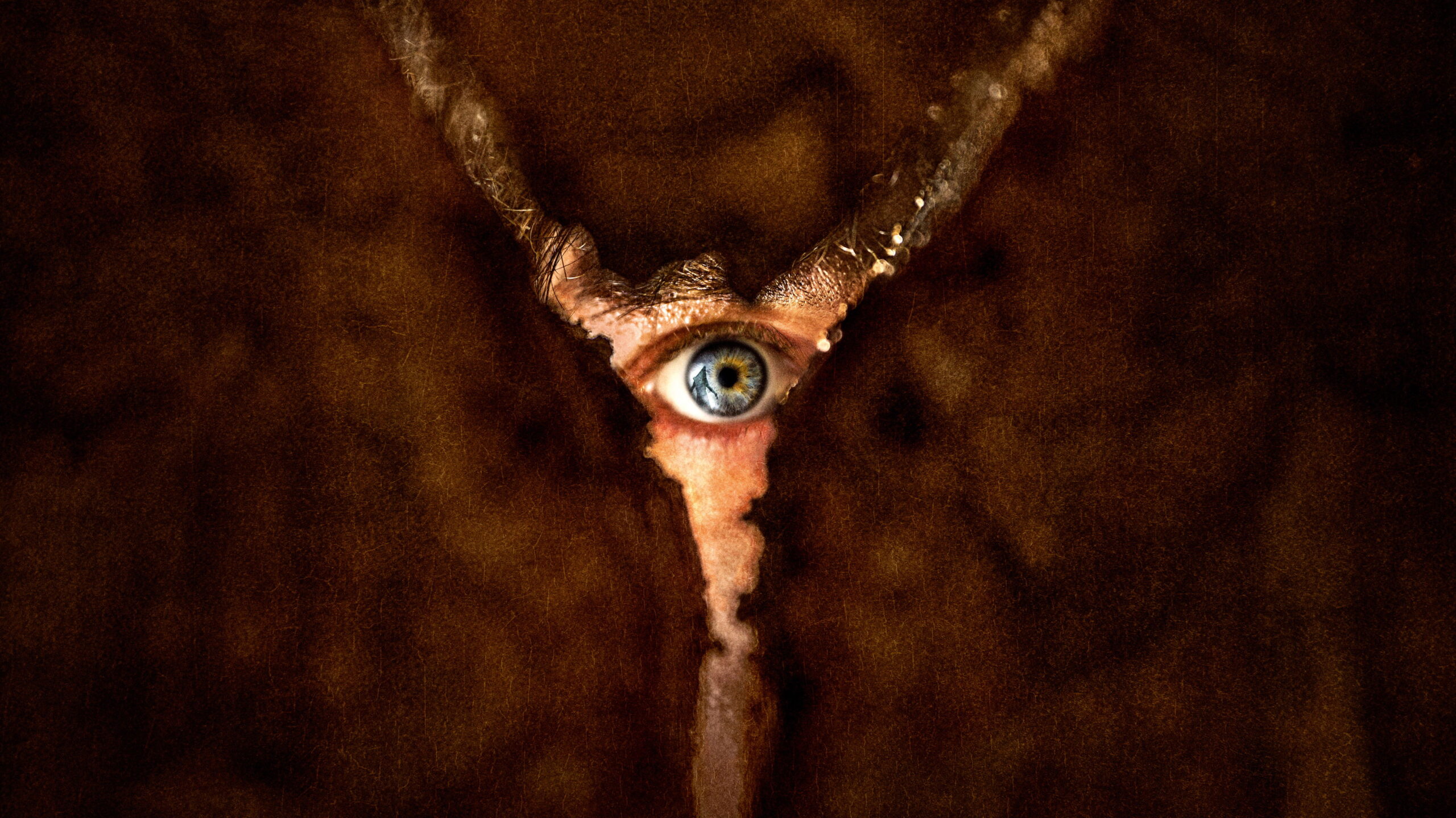 video-section-banner-image
